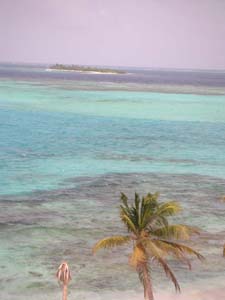uitzicht over de tobago cays en rif
